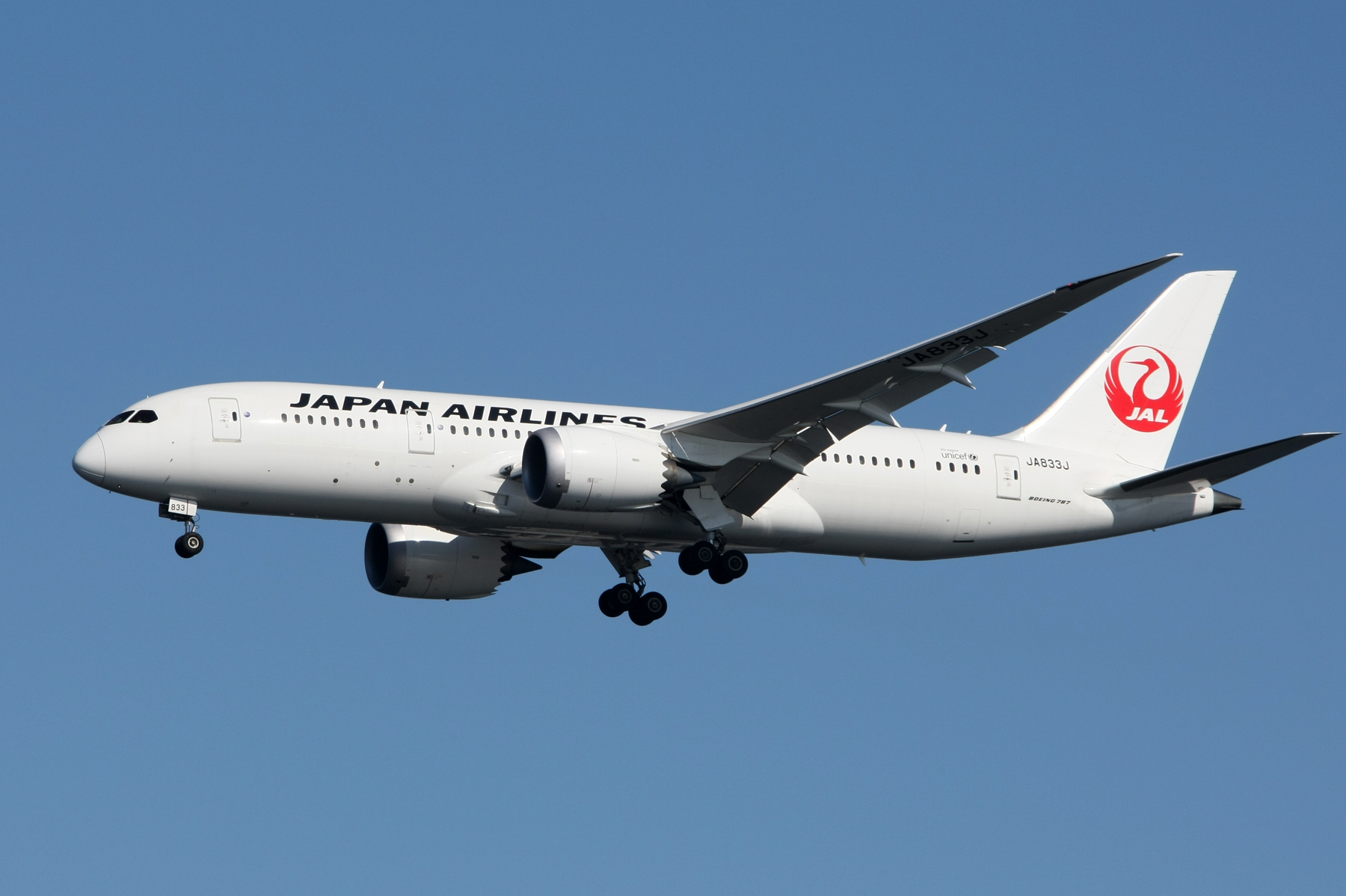 Japan Airlines - JAL Boeing787-8 Dreamliner