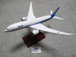 All Nippon Airways B787-8 Dreamliner